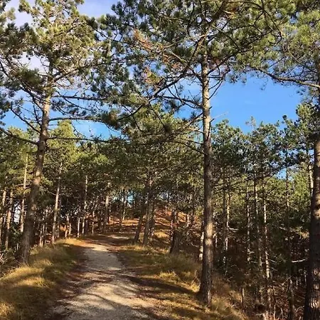 Rekerlanden 195 Holiday park