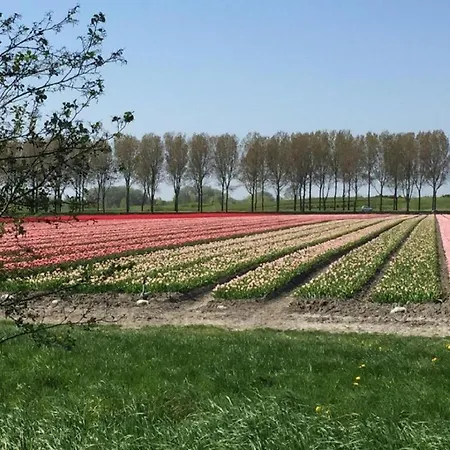 Rekerlanden 195 *